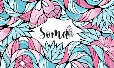 BASF, LinkedIn, Natura e Visa preparam pessoas trans para o mercado de trabalho