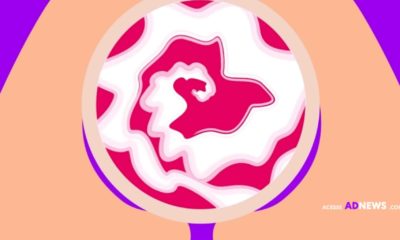 Leão celebra 120 anos contando as invenções mais “De Boa” da história