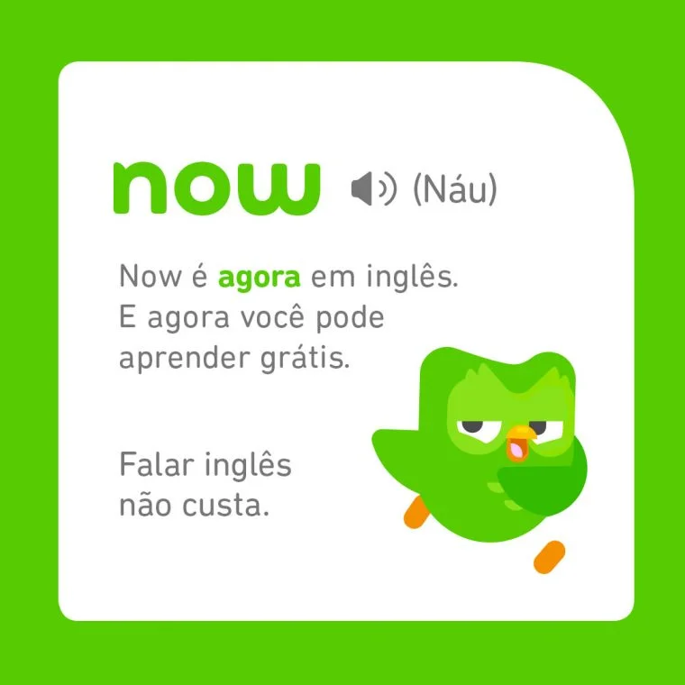 Quais são as divisões do Duolingo?