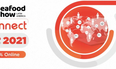 Indústria de pescado ganha evento para conectar mercado da América Latina