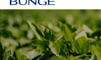 Soya lança nova campanha nas redes sociais