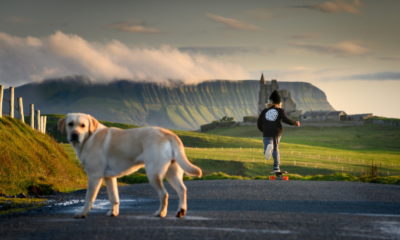 Um retorno às origens. Esse é o tom que permeia a dinâmica da edição deste ano do Festival Rocky Spirit Fit Combustíveis, maior evento de cinema outdoor do Brasil, com documentários de curta e média duração produzidos em todo mundo sobre aventuras ao ar livre, que volta a ser exibido da forma que o consagrou: com a presença de público. Uma das novidades da 11ª edição é a instalação de dois telões ao longo da ciclovia da marginal Pinheiros, em São Paulo, para a exibição dos 43 filmes selecionados, muitos ainda inéditos no País. Além disso, a mostra virtual das produções já está em andamento e segue até 3 de outubro, disponível no site ( rockyspirit.com.br). Toda a programação é gratuita. As exibições ao ar livre, em dois pontos na ciclovia da marginal Pinheiros, foram pensadas tanto para os bikers, quanto para o público que deseja ir de carro assistir às obras. A tela na altura da Ponte Jaguaré só pode ser acessada de bicicleta, no formato "ride-in". Já no ponto de exibição da Miguel Yunis, o público pode chegar de carro. A programação do evento prevê programações complementares nos dois pontos. Na mostra virtual, os filmes estarão disponíveis no website, on-demand, gratuitamente, para serem assistidos na ordem e ritmo que cada pessoa quiser. Também serão disponibilizadas algumas playlists divididas por temas e modalidades, como "Bike", "Mulheres", "Neve", "Adrenalina" e "Brasil". "O Rocky Spirit apresenta os melhores documentários nacionais e internacionais sobre vida ao ar livre, esportes e meio ambiente. Tudo o que faz parte desse universo e desafia a maneira de ver o mundo tem espaço no festival. O propósito é inspirar o público a buscar uma vida mais verdadeira, saudável e conectada com a natureza", conta Andrea Estevam, diretora-geral e de Conteúdo da Rocky Mountain e responsável pelo evento. Premiação - Este ano, o Festival Rocky Spirit Fit Combustíveis terá duas novidades na concessão dos prêmios. Além de contar com votação do público na mostra virtual e do júri, o Melhor Filme Nacional será premiado com R﹩ 6 mil. O júri conta com nomes como Renata Falzoni (vereadora, filmaker e cicloativista), Suzana Vidigal (Cine Garimpo), Ignacio Aronovich (fotógrafo), Sylvio Rocha (diretor de cinema) e Rosana Fortes (brand manager do Strava). Além disso, pela primeira vez, o público escolherá o Melhor Filme de Bike, que dará R﹩ 6 mil ao vencedor, com oferecimento do aplicativo Strava.